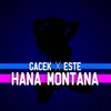 About HANA MONTANA Song