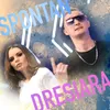 About Dresiara Song