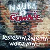 Punk nie umarł