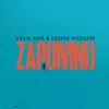 About Zapomnij Song