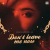 About Don't Leave Me Now Song