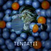 About Tentatii Song