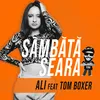 About Sambata seara Song