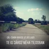 About Te is jársz néha tilosban Song