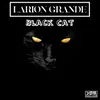 Black Cat Remix