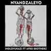 About Nyandzaleyo Song