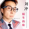 About 陌生的脸 Song