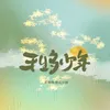 About 平生多少年 Song