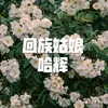 About 回族姑娘 Song