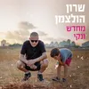 השקרים רבים