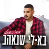 About בא לי שנאהב Song