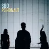 About Psihonaut Song