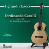 About 24 preludi per chitarra, Op. 114: No. 3 in D Major, Adagio Song