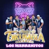 Los Marranitos