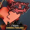 About Lágrimas De Amor Song