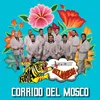 About Corrido Del Mosco Song