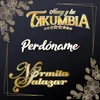 About Perdóname Song