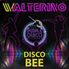 About Disco Bee Song