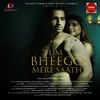 About Tum Bheego Mere Saath Song