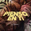 About Pienso en Ti Song