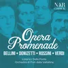 Norma: "Sinfonia"
