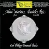 Flute Sonata in D Major, Wq. 126: III. Vivace