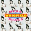 Another Day Ms. Whigfield Vocal Flava Mix by Mark Picchiotti & Teri Bristol - Mixed Version