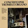 Saltarello detto del Naldi Arr. for Trumpet and Organ