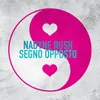 About Segno Opposto Song