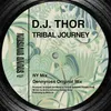 Tribal Journey NY Mix