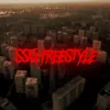 About S$G Freestyle Song