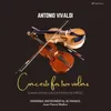 Concerto for Two Violins in A Minor, Op. 3, RV522: III. Larghetto e Spiritoso