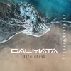 Dalmata