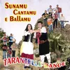 Tarantella fina