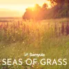 About Seas of Grass Song