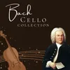 6 Cello Suite, No. 3 in C Major, BWV 1009: II. Allemande