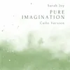 About Pure Imagination Cello Version Song