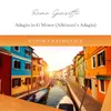 About Adagio in G Minor "Albinoni's Adagio" Arr. for Piano by F. Pott Song