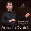 Serenade for Strings in E Major, Op. 22: III. Scherzo. Vivace