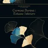 About Carmina Burana: "Estuans Interiors" Song