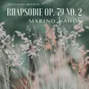 About 2 Rhapsodies, Op. 79: No. 2, Molto passionato, ma non troppo allegro Song