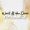 About Won't Let You Down Edit Song