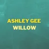 Willow Instrumental