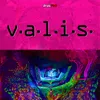 About V.A.L.I.S. Song