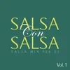 Salsa con salsa