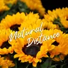Natural Distance