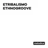 Ethnogroove Extended mix