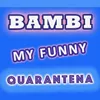 About My Funny Quarantena Song