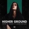 About Higher Ground Song