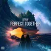 About Perfect Together Song